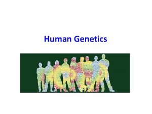 Human Genetics How many pairs of chromosomes are