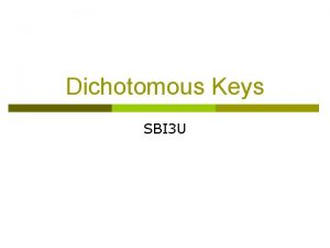 Dichotomous Keys SBI 3 U Dichotomous Key p