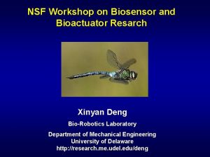 NSF Workshop on Biosensor and Bioactuator Resarch Xinyan