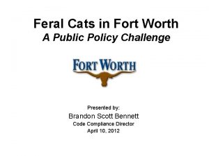 Feral Cats in Fort Worth A Public Policy