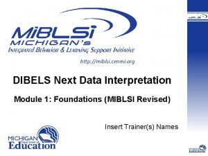 http miblsi cenmi org DIBELS Next Data Interpretation