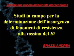 Valutazione rischio ambientale biotecnologie Studi in campo per