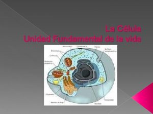 La Clula Unidad Fundamental de la vida La