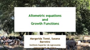 Allometric equations and Growth Functions Margarida Tom Susana