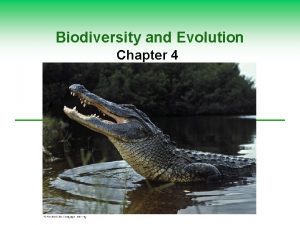 Biodiversity and Evolution Chapter 4 Core Case Study