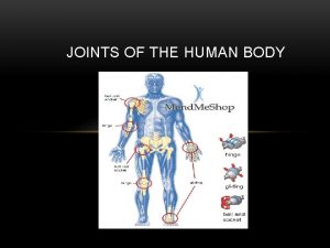 JOINTS OF THE HUMAN BODY JOINTS OF THE