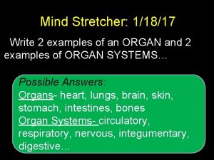 Mind Stretcher 11817 Write 2 examples of an