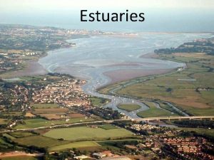Estuaries What is an estuary An estuary is