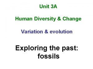 Unit 3 A Human Diversity Change Variation evolution