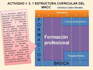 ACTIVIDAD 1 3 1 ESTRUCTURA CURRICULAR DEL MACC