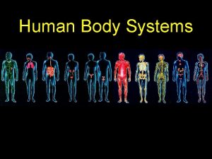 Human Body Systems Levels of Organization Cells Tissues
