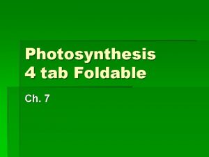 Photosynthesis 4 tab Foldable Ch 7 Foldable Set