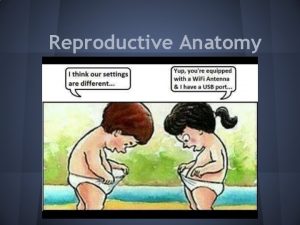 Reproductive Anatomy Social doing it her time of