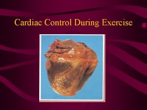 Cardiac Control During Exercise Functions of the Cardiovascular