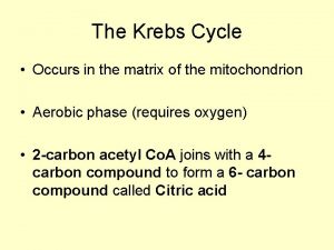 The Krebs Cycle Occurs in the matrix of