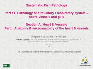 Systematic Fish Pathology Part 11 Pathology of circulatory