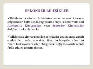 SEKONDER BLEKLER Bitkilerin tarafndan birbirlerine zarar verecek toksinler