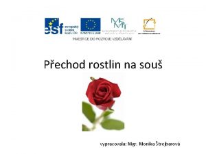 Pechod rostlin na sou vypracovala Mgr Monika trejbarov