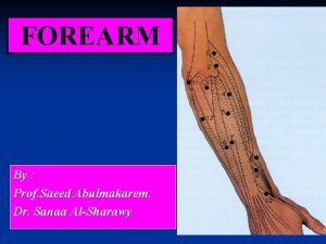 FOREARM By Prof Saeed Abulmakarem Dr Sanaa AlSharawy