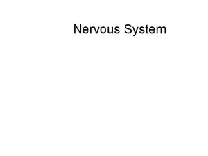 Nervous System Central Nervous System CNS The brain