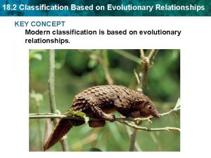 18 2 Classification Based on Evolutionary Relationships KEY