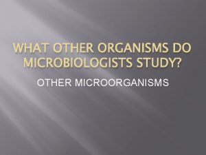 WHAT OTHER ORGANISMS DO MICROBIOLOGISTS STUDY OTHER MICROORGANISMS