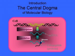 Introduction The Central Dogma of Molecular Biology Cell