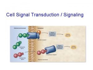 Cell Signal Transduction Signaling Fig 9 2 2