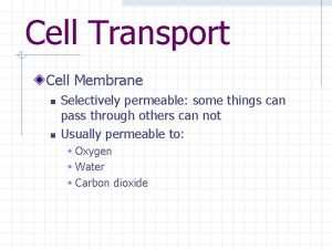 Cell Transport Cell Membrane n n Selectively permeable