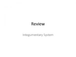 Review Integumentary System Review The skin performs five