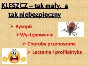 KLESZCZ tak may a tak niebezpieczny Rysopis Wystpowanie