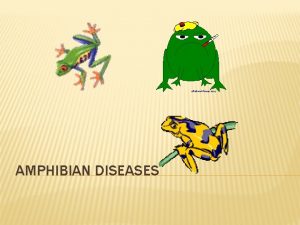 AMPHIBIAN DISEASES RED LEG In amphibians bacterial infections