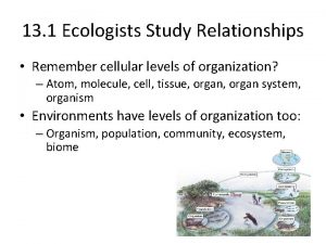 13 1 Ecologists Study Relationships Remember cellular levels