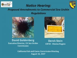 Notice Hearing Proposed Amendments to Commercial Sea Urchin