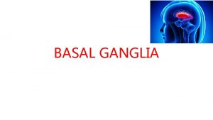 BASAL GANGLIA Basal Ganglia Scattered masses of grey