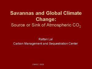Savannas and Global Climate Change Source or Sink