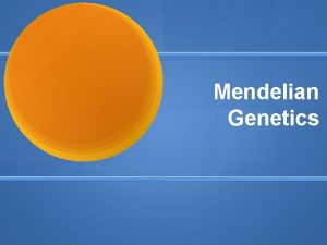 Mendelian Genetics How Genetics Began Gregor Mendel Father