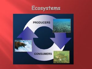 Ecosystems Characteristics of Ecosystems Structure 2 parts Living