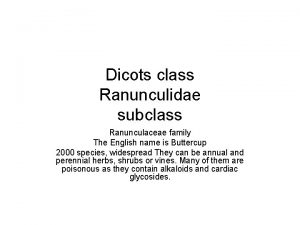 Dicots class Ranunculidae subclass Ranunculaceae family The English