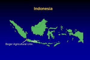 Indonesia Java Bogor Agricultural Univ Tinjil Island Natural