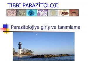 TIBB PARAZTOLOJ PARAZTOLOJ Yunancadan gelen parazit terim orijinal