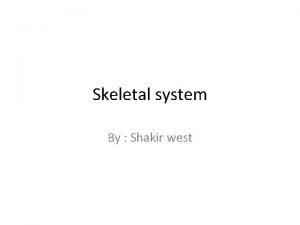 Skeletal system By Shakir west Long bone The