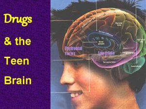 Drugs the Teen Brain This is your Brain
