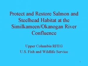 Protect and Restore Salmon and Steelhead Habitat at
