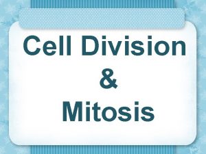 Cell Division Mitosis Cell Division in Prokaryotes Prokaryotes