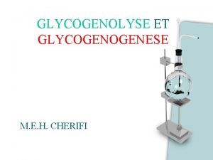 GLYCOGENOLYSE ET GLYCOGENESE M E H CHERIFI INTRODUCTION