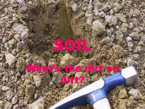 SOIL Whats the dirt on dirt Why study