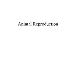 Animal Reproduction Asexual Reproduction Produced genetically identical individuals