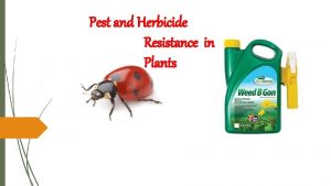 Pest and Herbicide Resistance in Plants Pest resistance