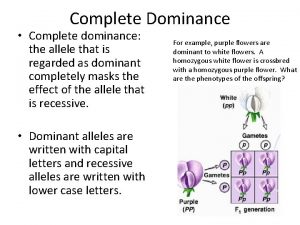 Complete Dominance Complete dominance the allele that is